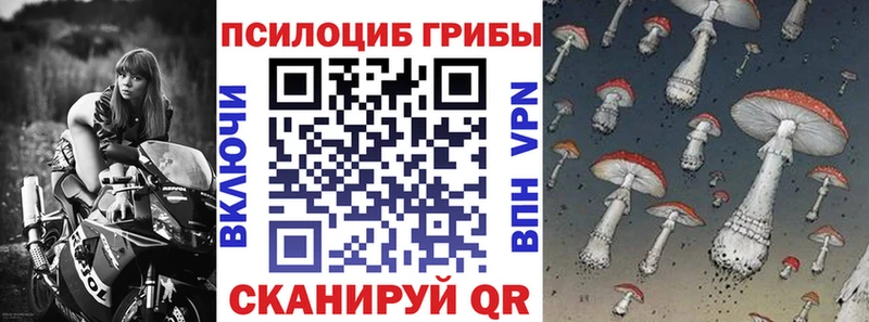 закладка  Лукоянов  Псилоцибиновые грибы Cubensis 